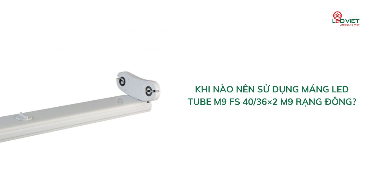 Khi nào nên sử dụng máng LED tube M9 FS 4036×2 M9 Rạng Đông