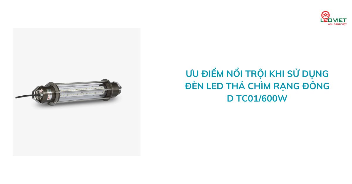 Ưu điểm nổi trội khi sử dụng đèn LED thả chìm Rạng Đông D TC01600W
