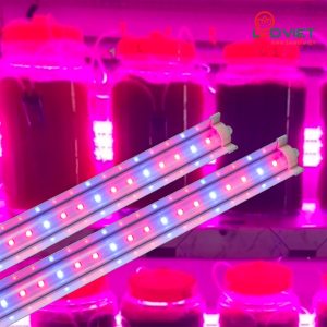 Đèn LED chuyên dụng nuôi tảo LED T25W 120/BR