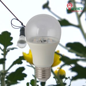 Đèn LED hoa cúc Rạng Đông HC A60/6W WR