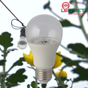 Đèn LED hoa cúc 6W rạng đông LED HC A60/6W WR