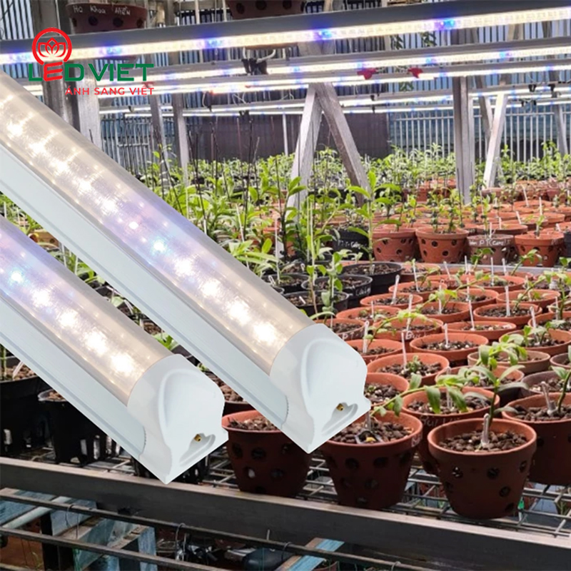 Đèn trồng cây dược liệu Rạng đông LED NCM 120/16W WBU ảnh3