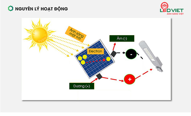 Đèn đường năng lượng mặt trời rạng đông CSD01SL/50W 