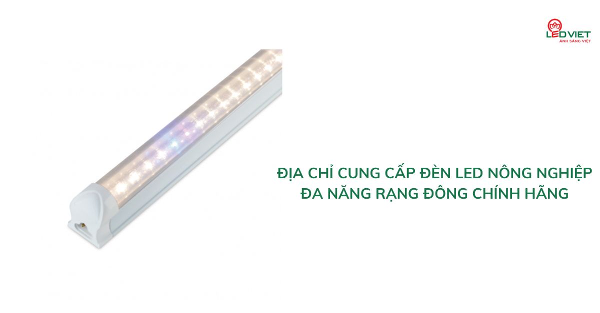 Địa chỉ cung cấp đèn LED nông nghiệp đa năng Rạng Đông chính hãng