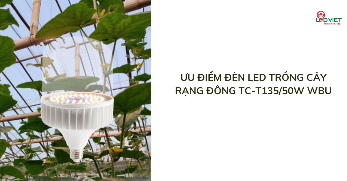 Ưu điểm đèn LED trồng cây Rạng Đông TC-T13550W WBU