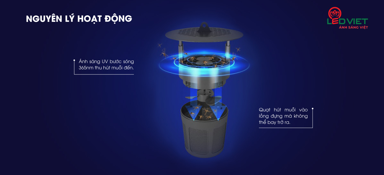 Nguyên lý hoạt động đèn bắt muỗi Rạng Đông DBM01 5W