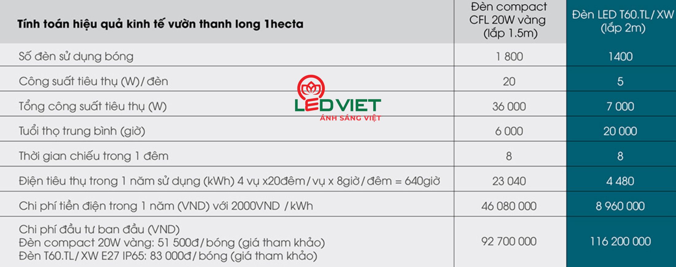 Bài toán kinh tế đèn LED thanh long T60.TL/XW 5W và đèn compact