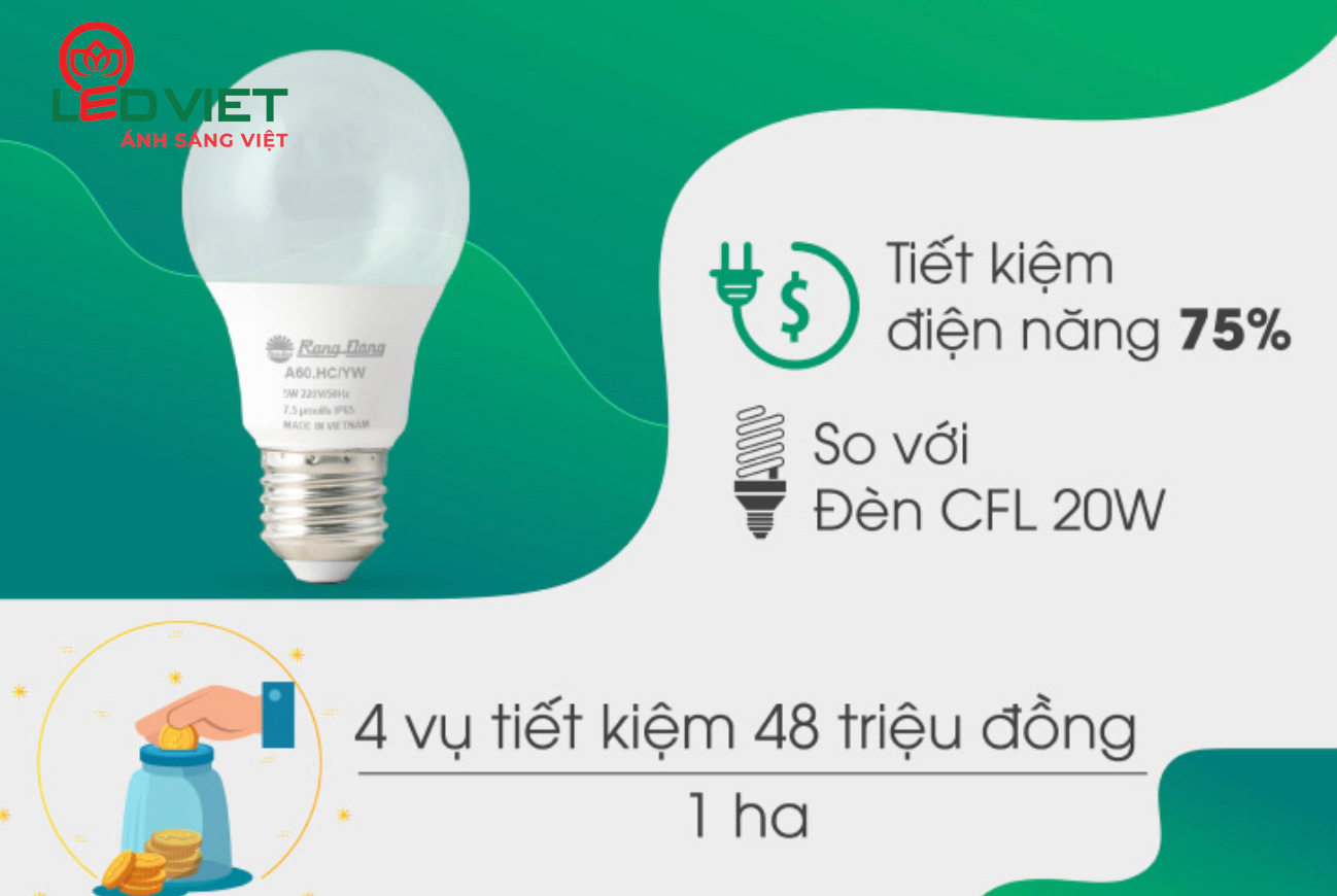 Lợi ích khi dùng đèn LED hoa cúc Rạng Đông 5W A60.HC/YW