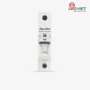 Aptomat ngắn mạch RD.MCB 1P1E 63A