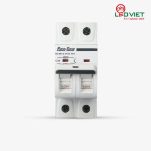 Aptomat ngắn mạch RD.MCB 2P2E 40A