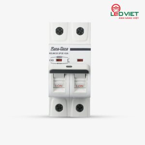 Aptomat ngắn mạch RD.MCB 2P2E 63A