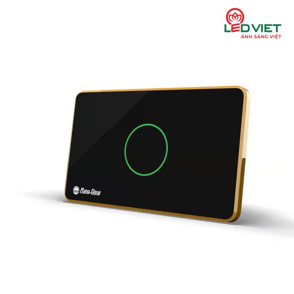Công tắc cảm ứng Rạng Đông RD-CT.01.NL