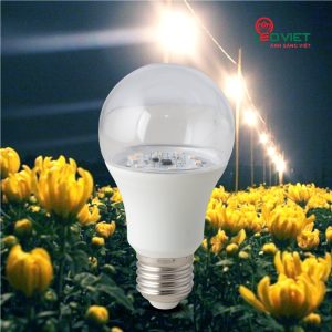Bóng đèn LED búp Rạng Đông hoa Cúc LED HC A60/9W