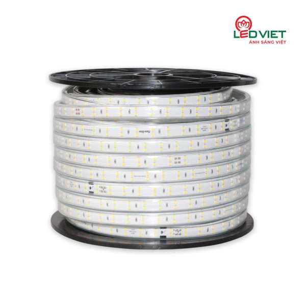 Đèn LED dây Rạng Đông đổi màu LD01.RGB.IR 100/8W