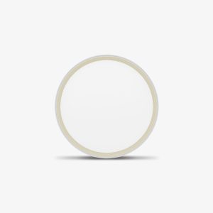 Đèn LED ốp trần Rạng Đông LN28.BLE 400/40W