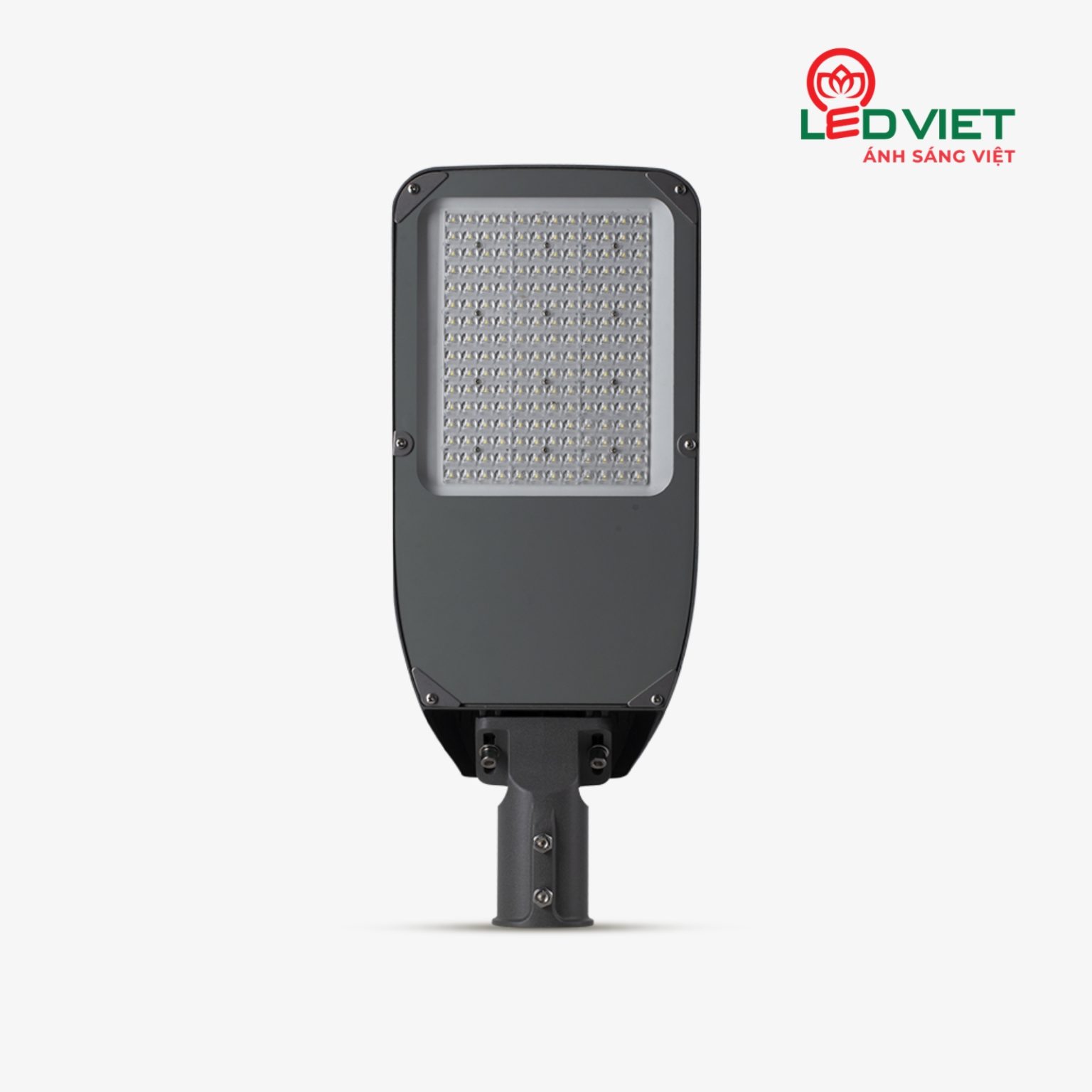 ĐÈN ĐƯỜNG LED RẠNG ĐÔNG