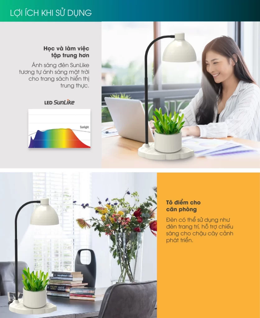 Đèn học Rạng Đông